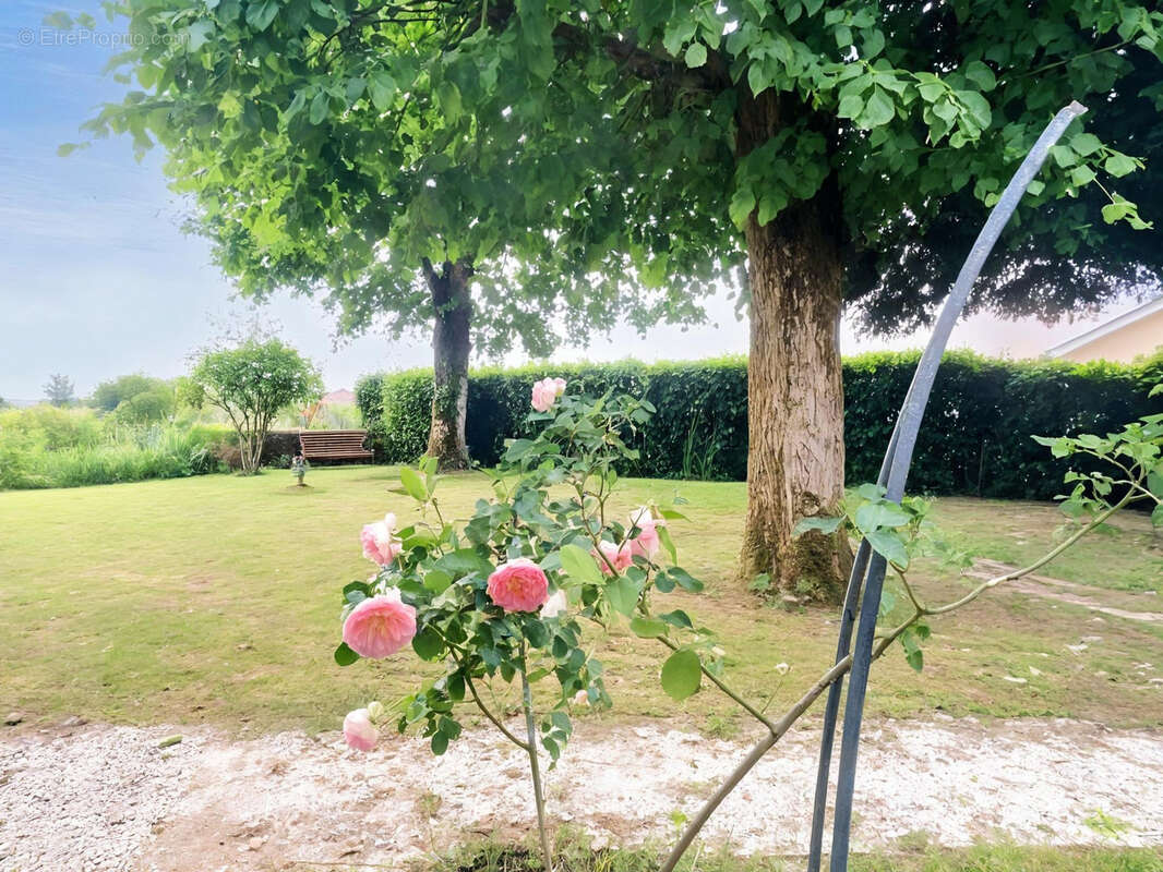 Maison à SAINT-SIMEUX