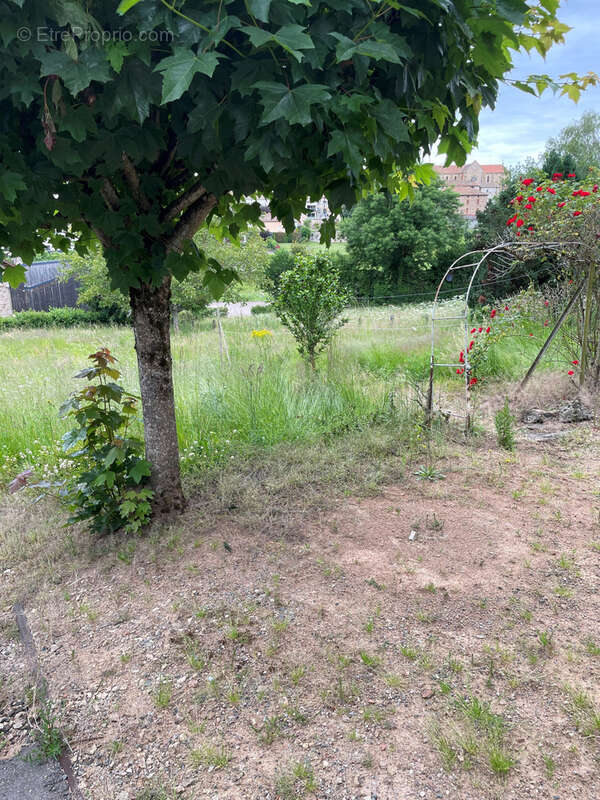 Maison à BELMONT-DE-LA-LOIRE