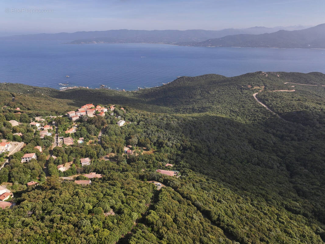 Terrain à BELVEDERE-CAMPOMORO