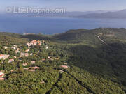 Terrain à BELVEDERE-CAMPOMORO