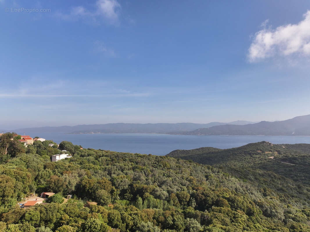 Terrain à BELVEDERE-CAMPOMORO