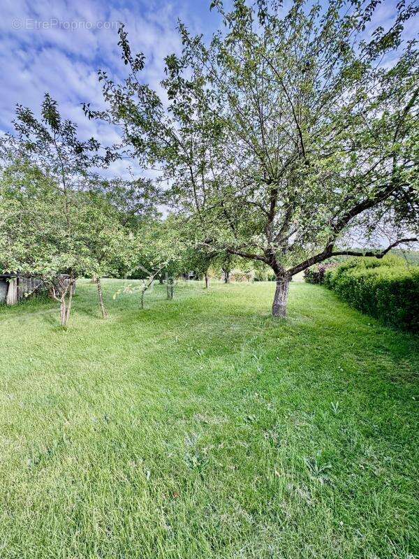 Terrain à HAM-SOUS-VARSBERG