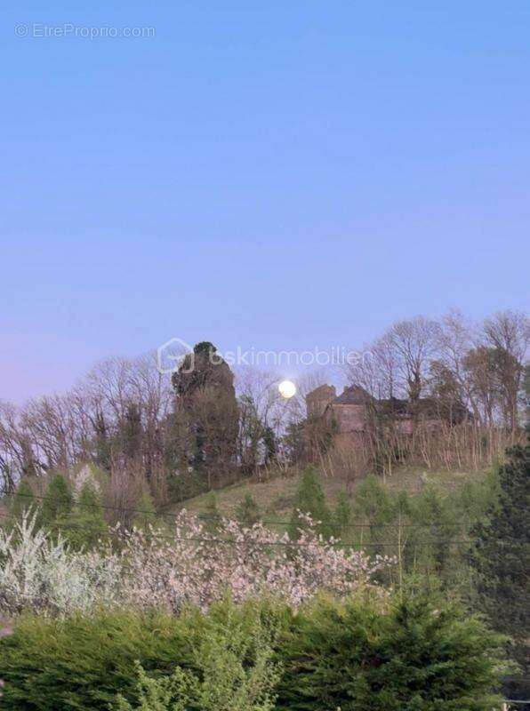 Terrain à HAM-SOUS-VARSBERG