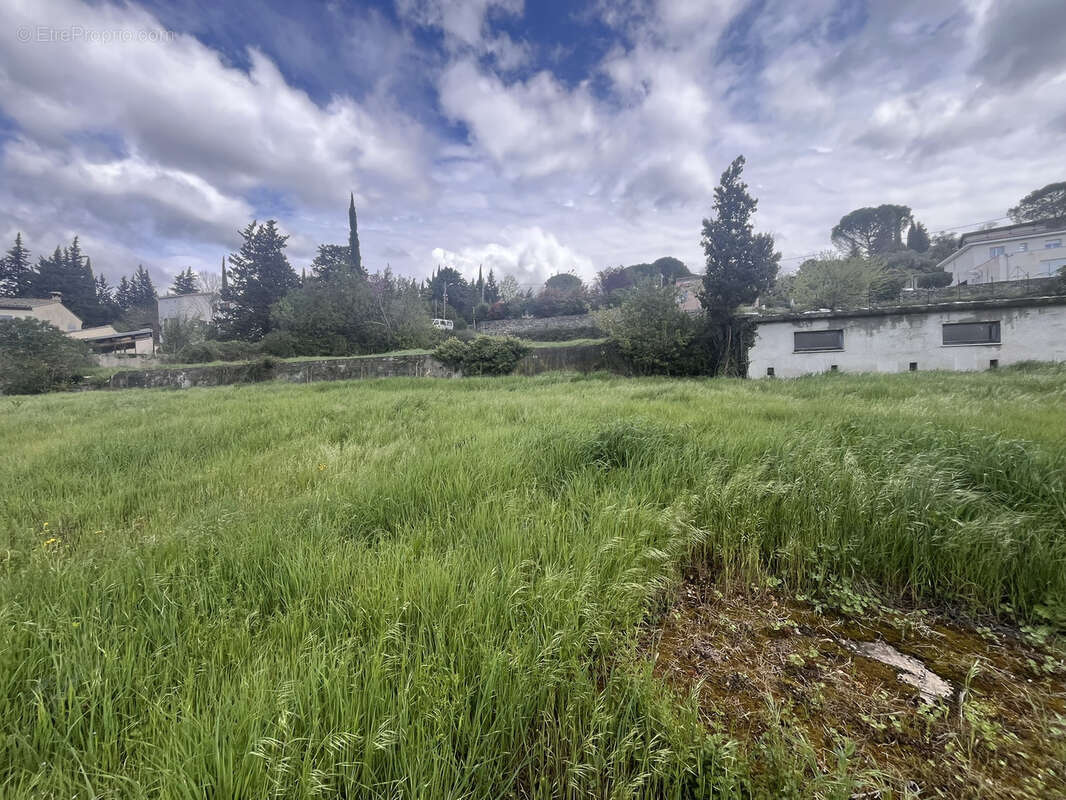 Terrain à BEDARIEUX