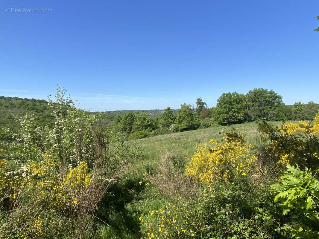 Maison à SAINT-MESMIN