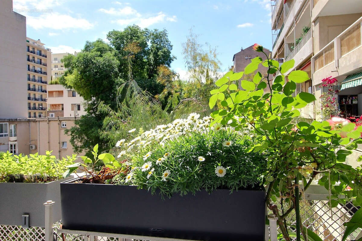 Appartement à MARSEILLE-8E