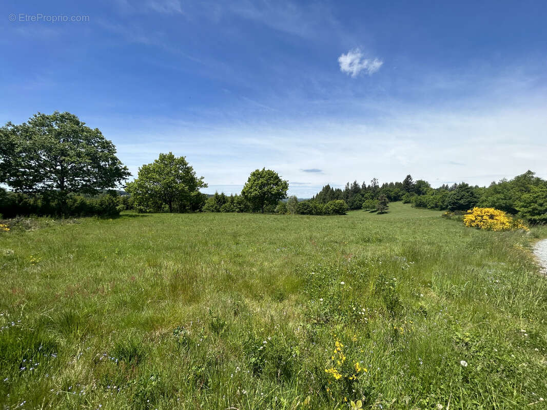 Maison à PEYRELEVADE