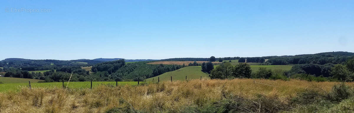 Maison à PEYRELEVADE
