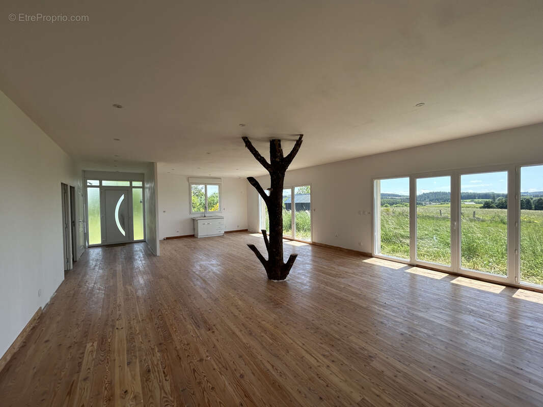 Maison à PEYRELEVADE