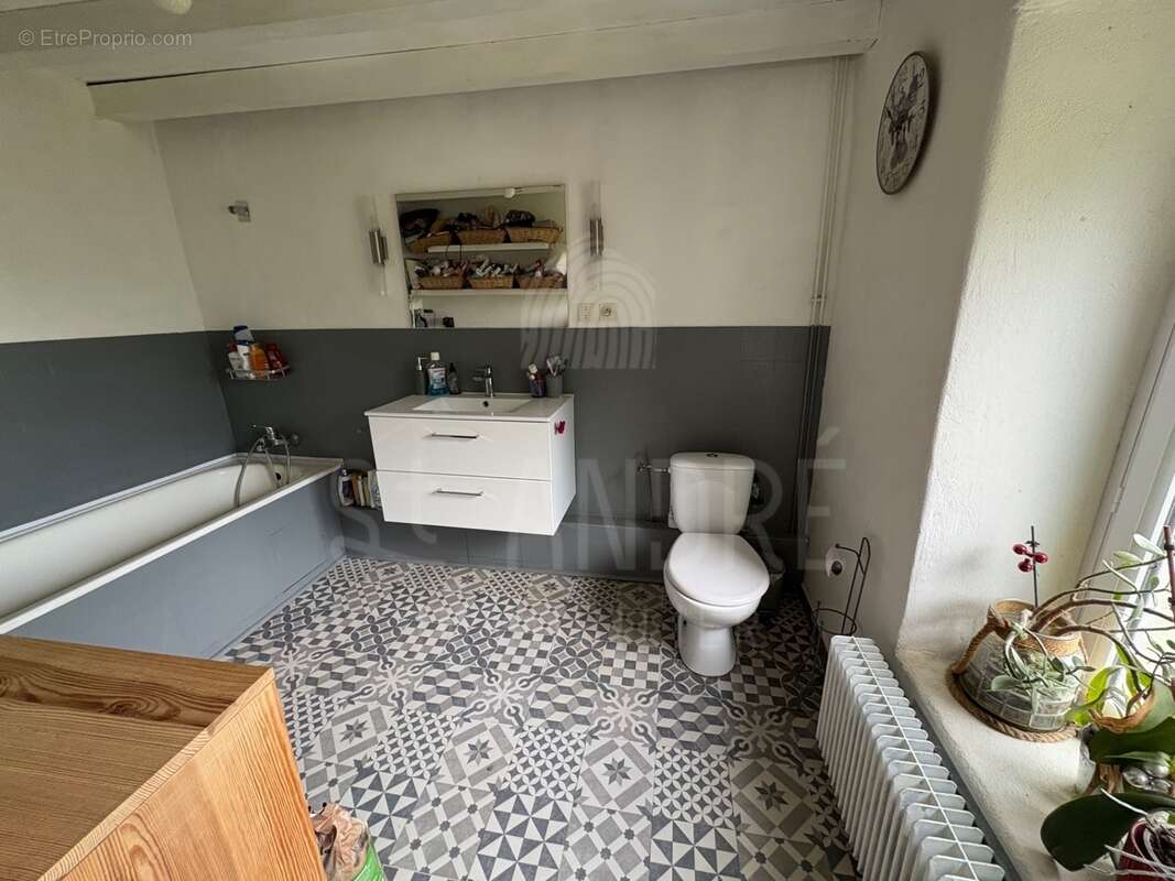 Maison à SAINT-PIERRE-DE-BRESSIEUX