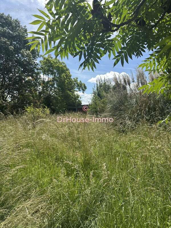 Maison à CASTELNAU-DE-MEDOC