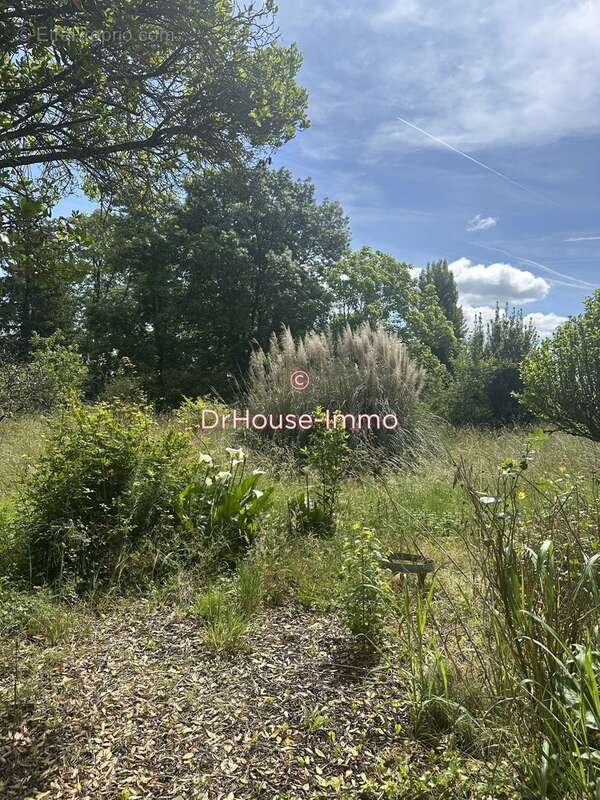 Maison à CASTELNAU-DE-MEDOC