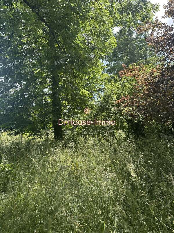 Maison à CASTELNAU-DE-MEDOC