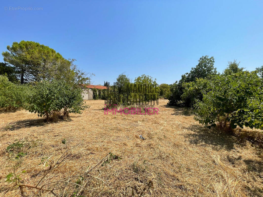 Terrain à PERNES-LES-FONTAINES