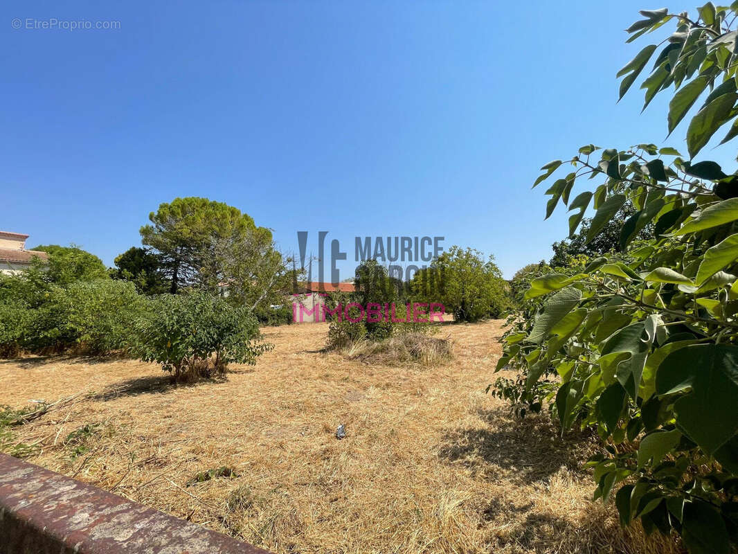 Terrain à PERNES-LES-FONTAINES