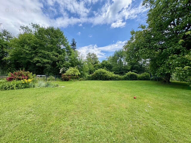 Maison à PLANCHER-BAS