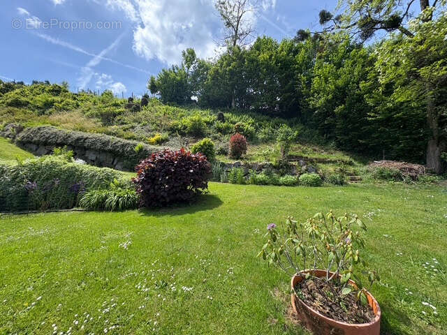 Maison à PLANCHER-BAS