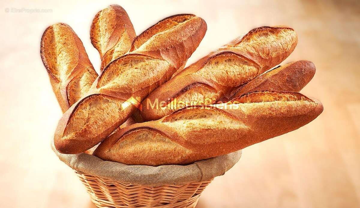 Commerce à MONTPELLIER