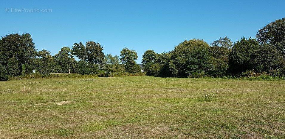 Terrain à BOBITAL