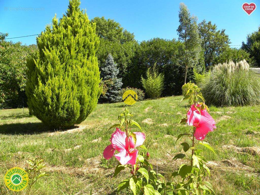 Maison à CHATILLON-SUR-LOIRE