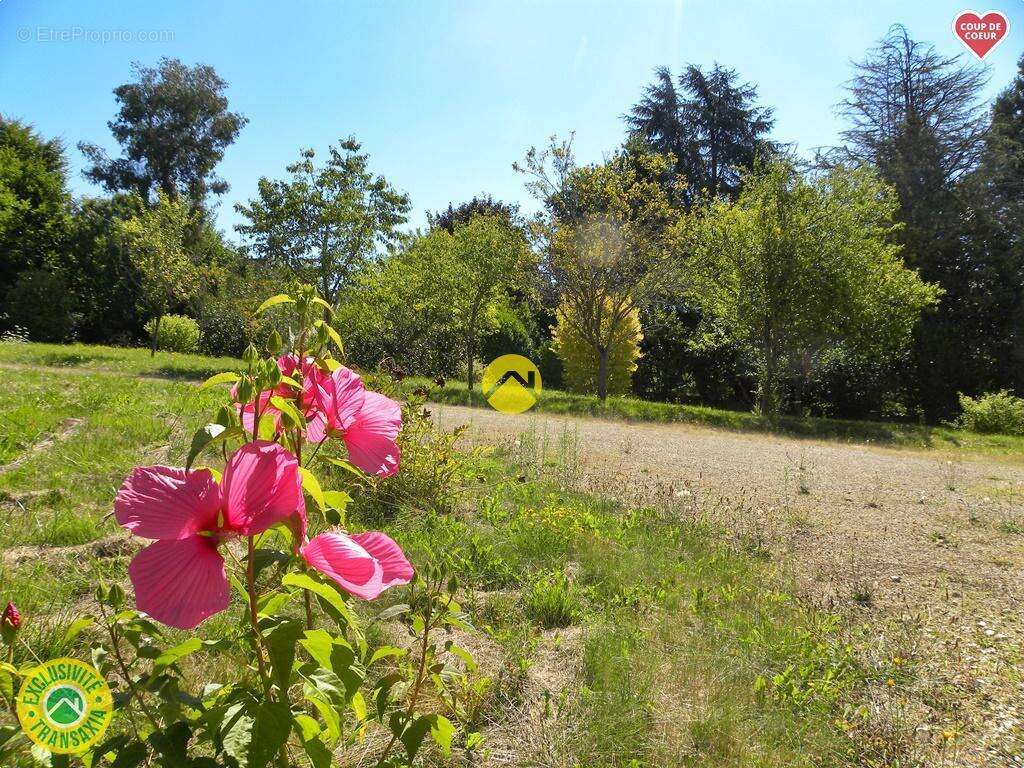 Maison à CHATILLON-SUR-LOIRE