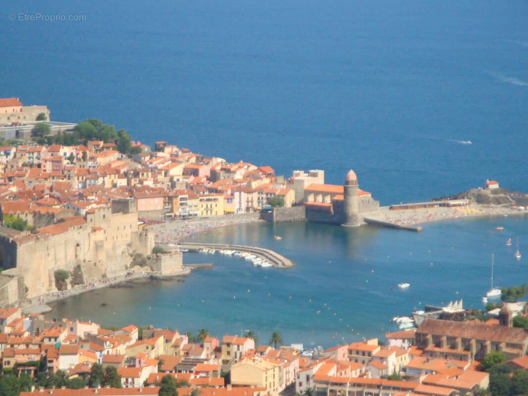 Commerce à COLLIOURE