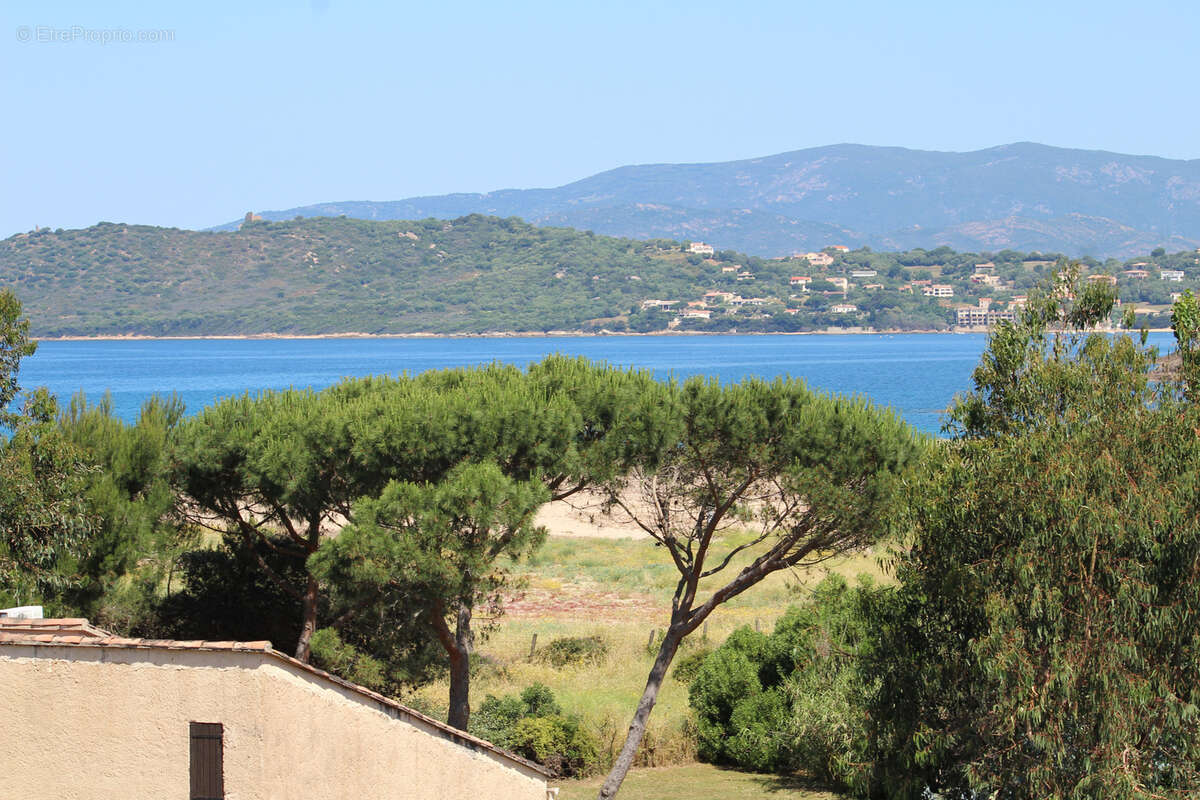 Appartement à CALCATOGGIO