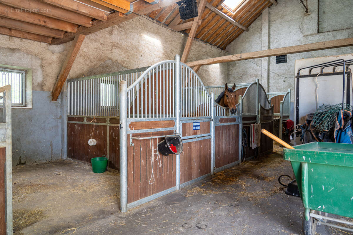 Maison à SAINT-GENIS-POUILLY