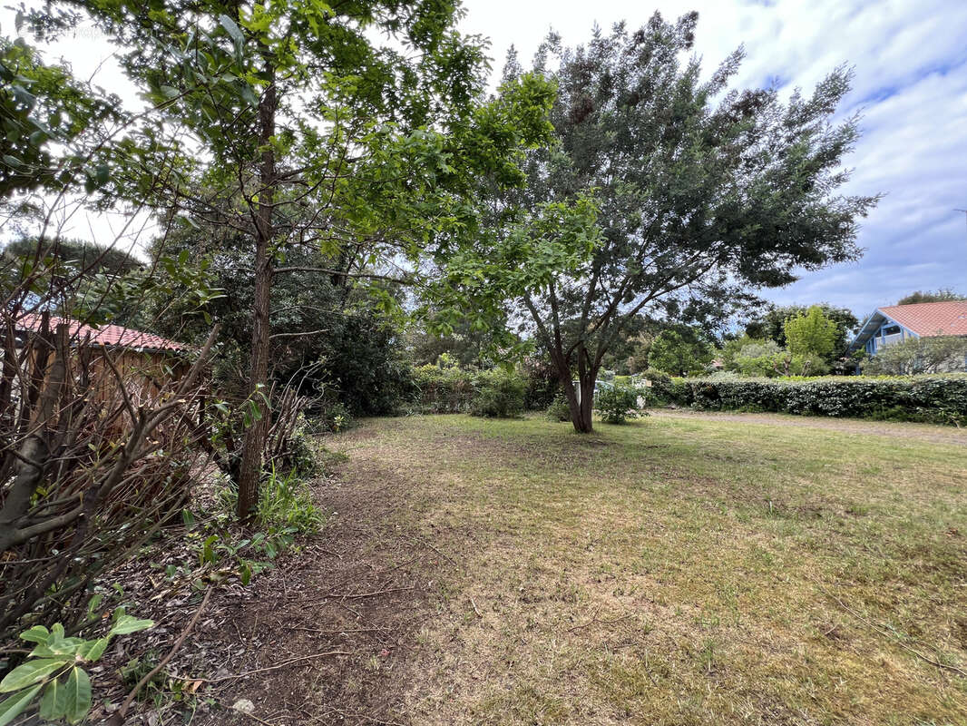 Maison à MOLIETS-ET-MAA