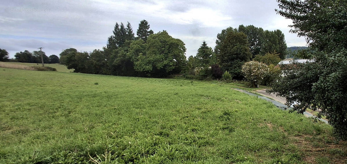 Terrain à TORCY-LE-PETIT