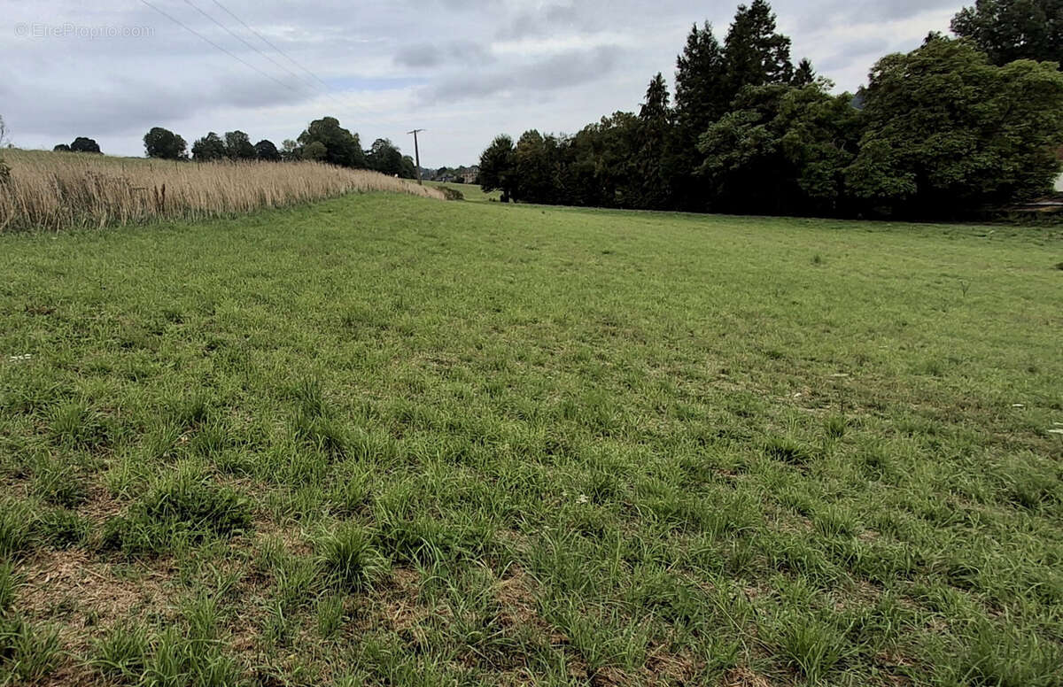 Terrain à TORCY-LE-PETIT