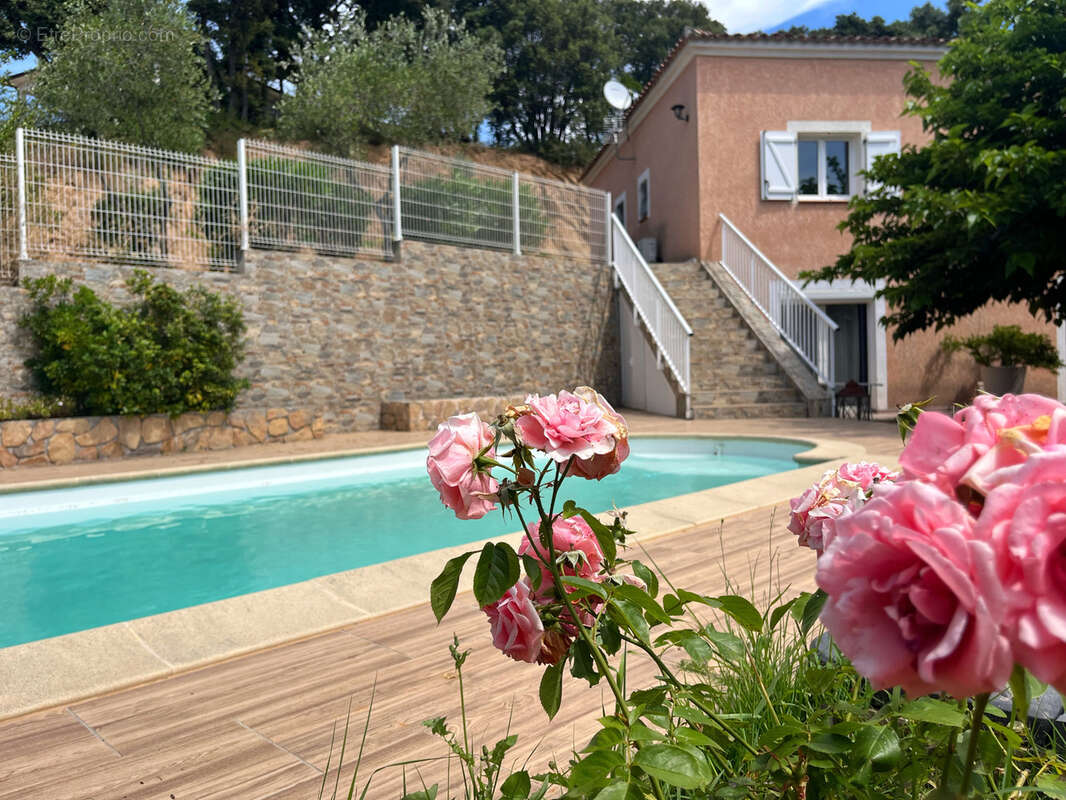 Maison à ECCICA-SUARELLA