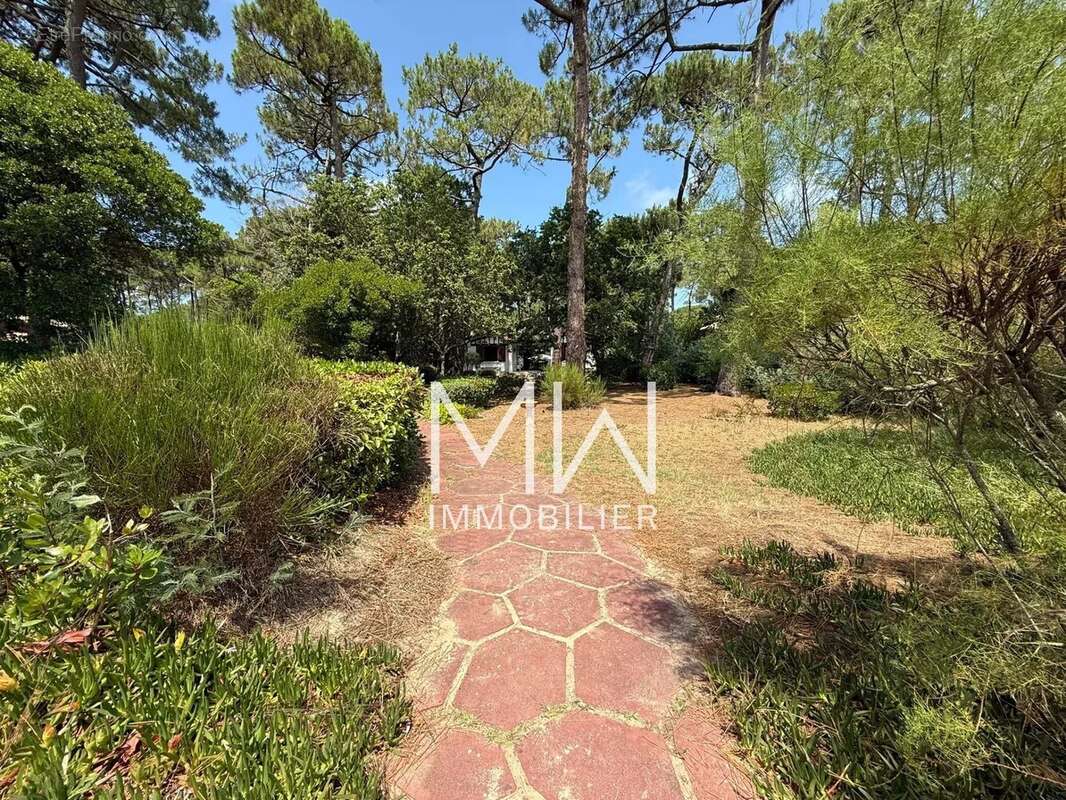 Maison à LEGE-CAP-FERRET