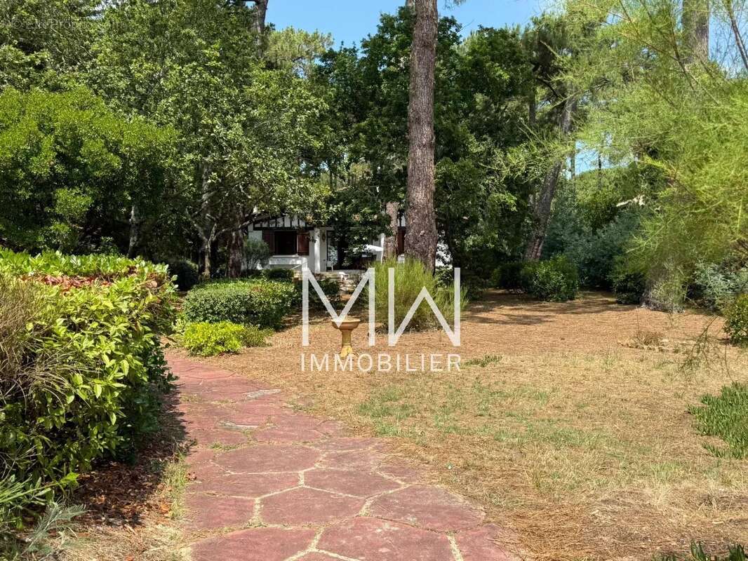 Maison à LEGE-CAP-FERRET