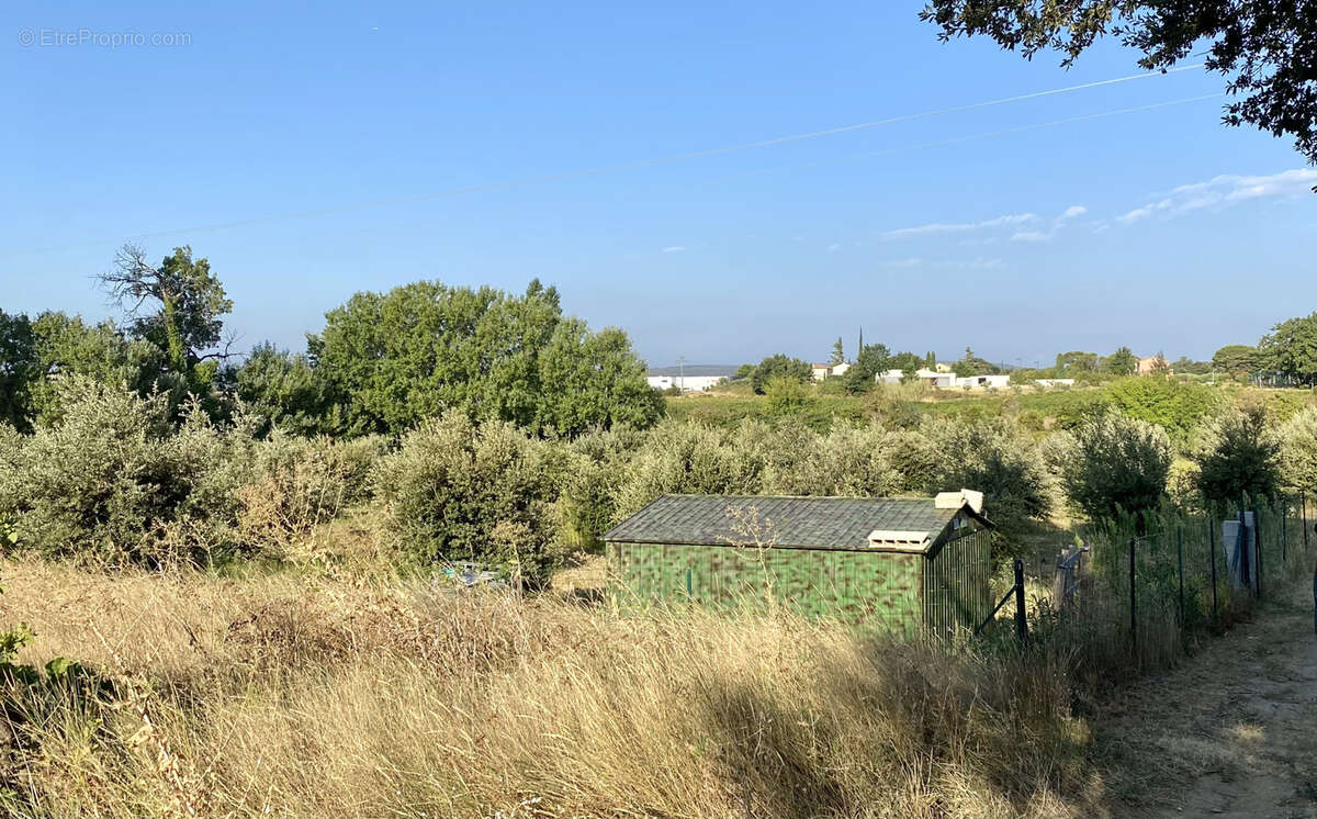 Terrain à SAINTE-CECILE-LES-VIGNES