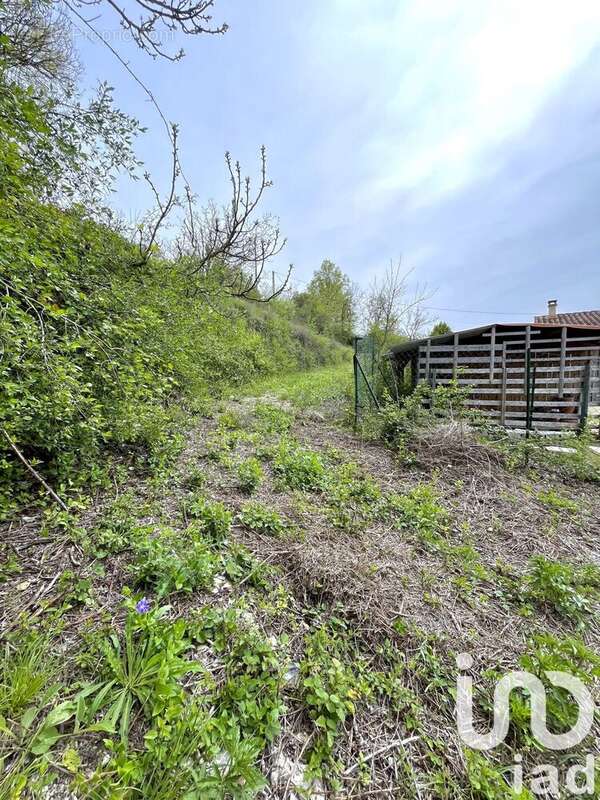 Photo 3 - Terrain à SAINT-JEAN-DE-MARUEJOLS-ET-AVEJAN