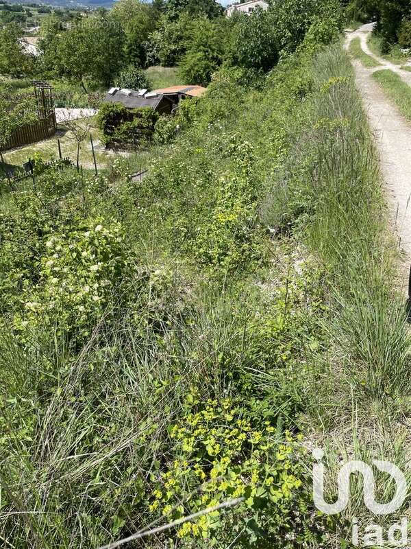 Photo 6 - Terrain à SAINT-JEAN-DE-MARUEJOLS-ET-AVEJAN