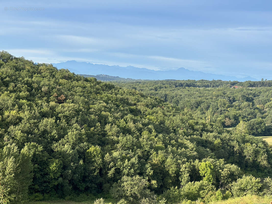 Maison à L&#039;ISLE-EN-DODON