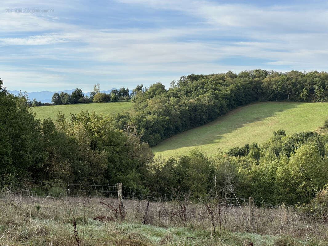 Maison à L&#039;ISLE-EN-DODON
