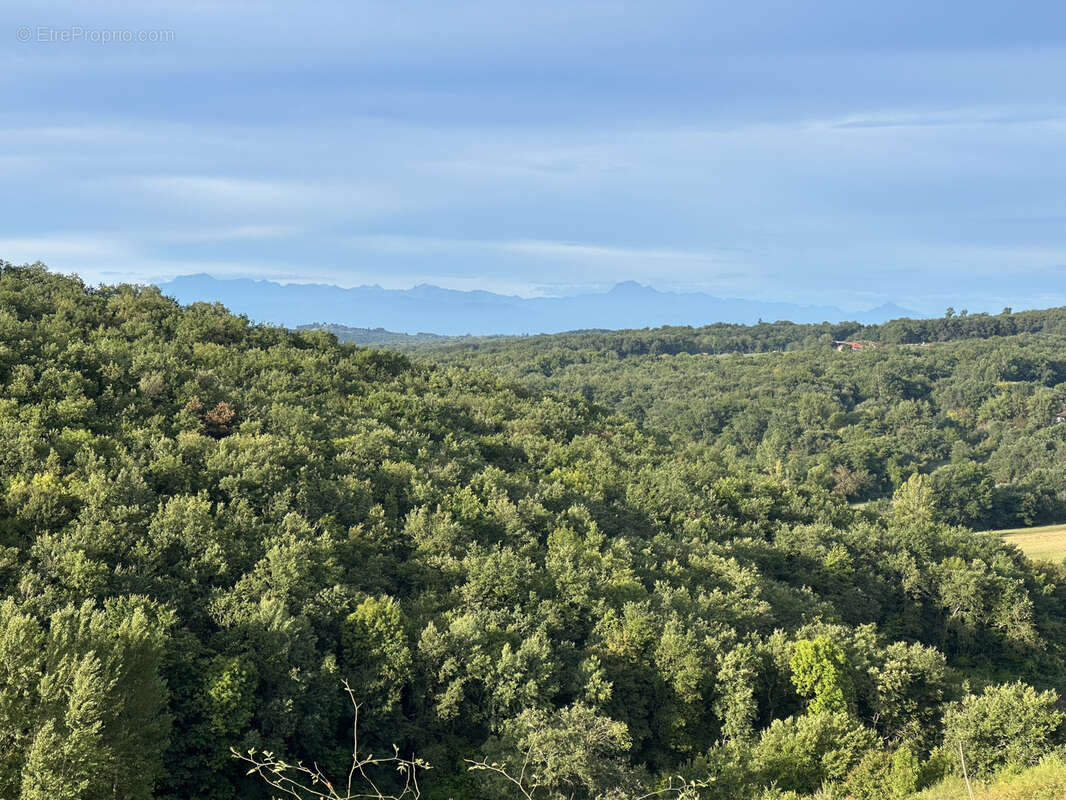 Maison à L&#039;ISLE-EN-DODON