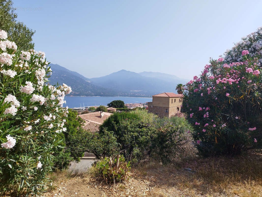 Maison à PROPRIANO