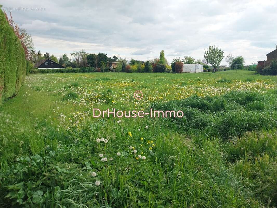 Terrain à SAINGHIN-EN-MELANTOIS