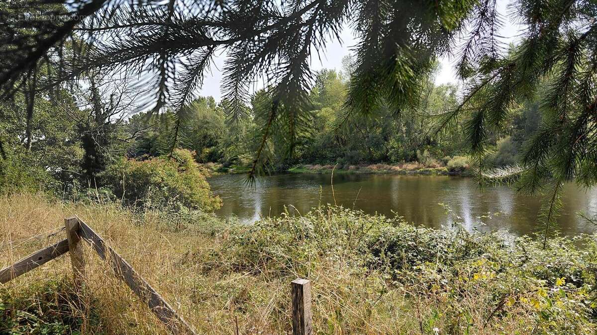 Photo 6 - Maison à CHARLIEU