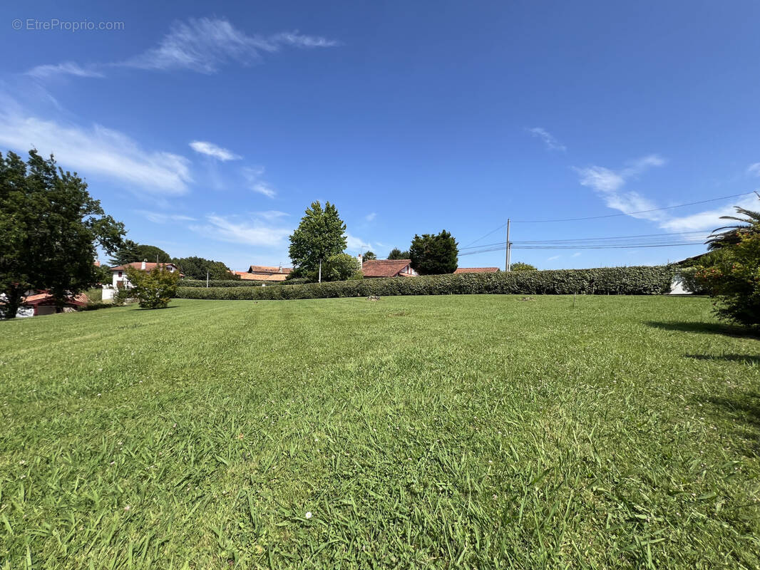 Terrain à VILLEFRANQUE