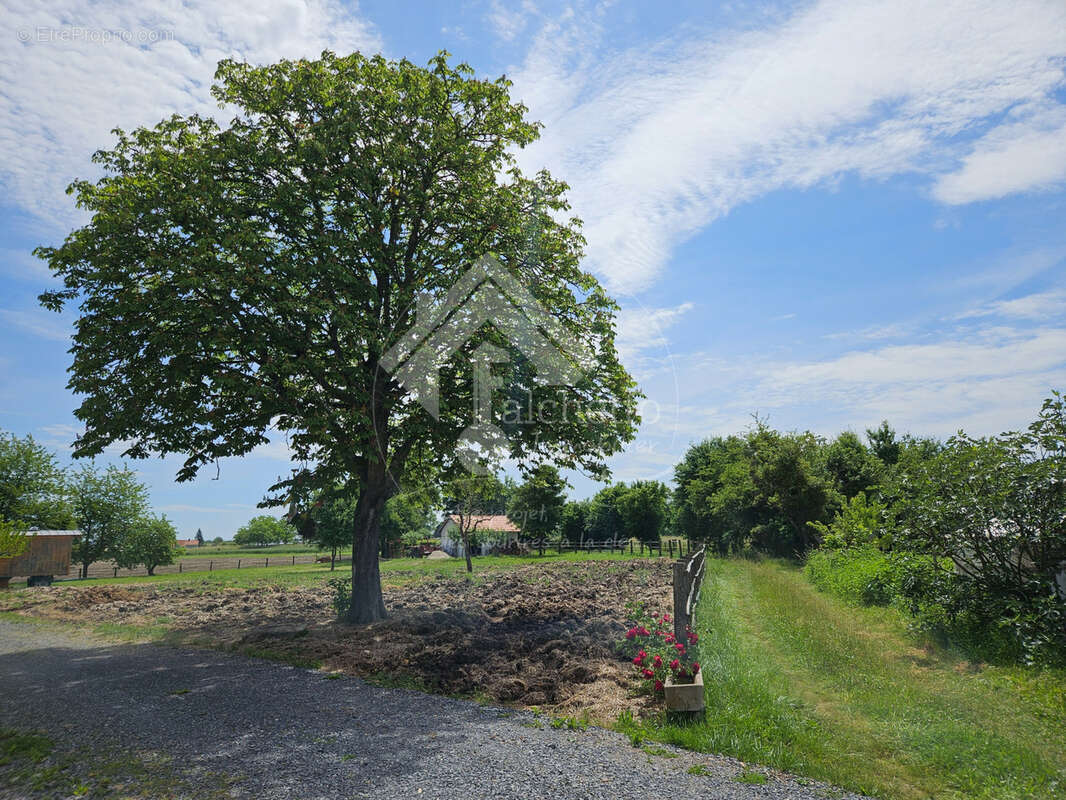 Maison à JALIGNY-SUR-BESBRE