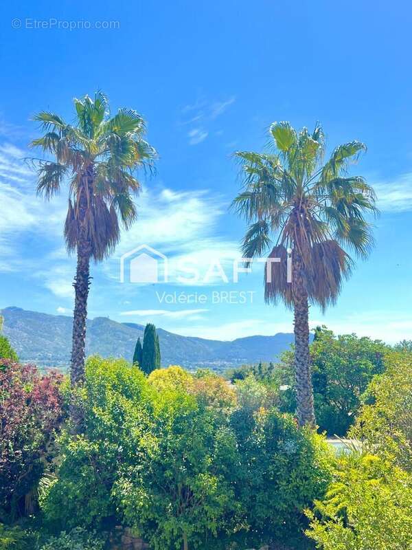 Photo 4 - Maison à AUBAGNE