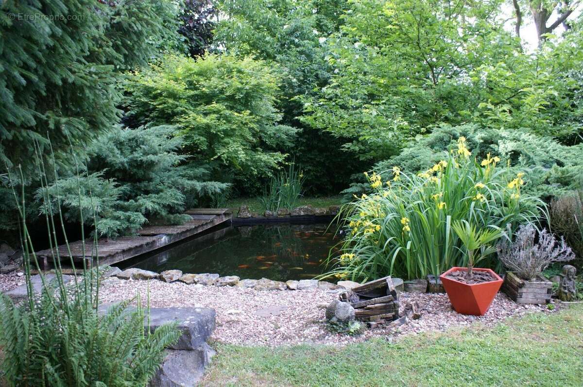 Photo 7 - Maison à SAINT-AYBERT