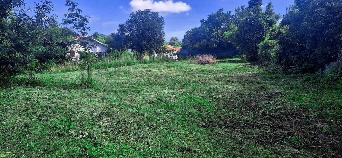 Photo 2 - Terrain à SAINT-LON-LES-MINES