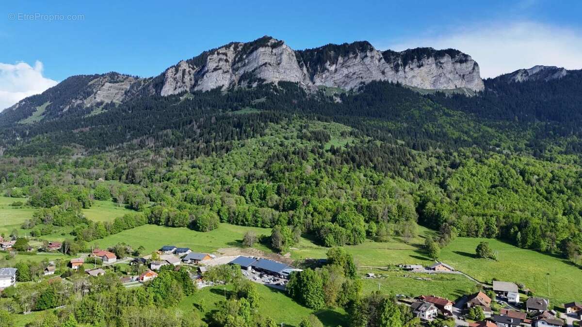 Terrain à THOLLON-LES-MEMISES