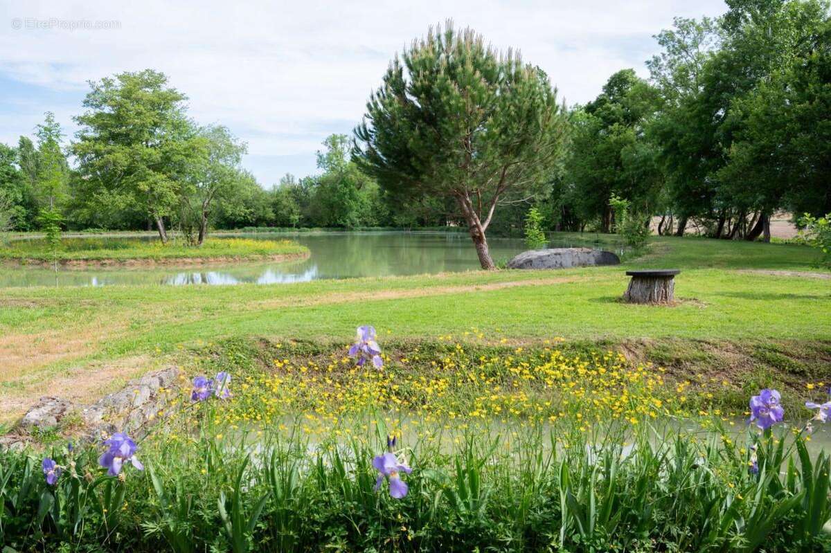 Maison à MONFLANQUIN